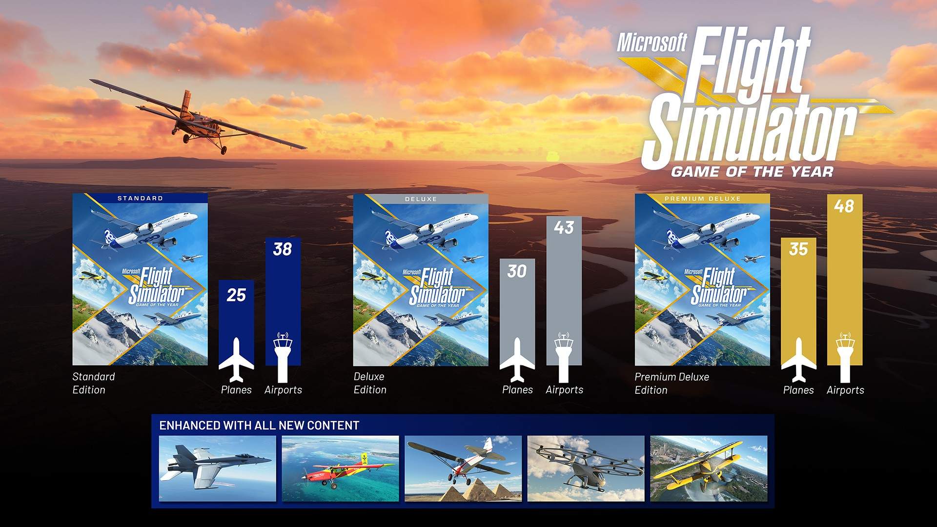 Microsoft Flight Simulator - Infographie GOTY