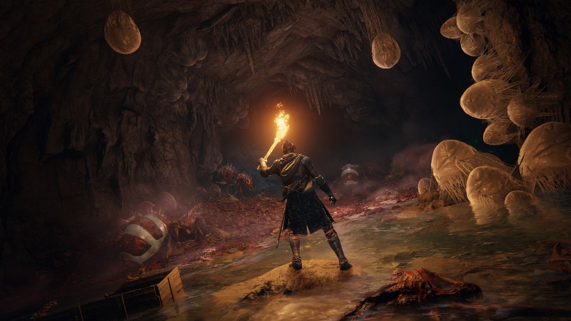 Hidetaka Miyazaki a redécouvert son amour de la création de marécages empoisonnés dans Elden Ring