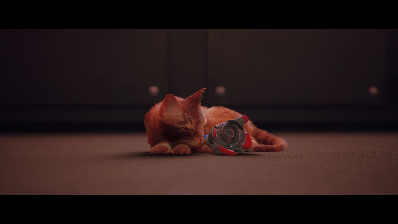 Où trouver chaque souvenir dans Stray