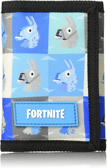 Portefeuille graphique Fortnite
