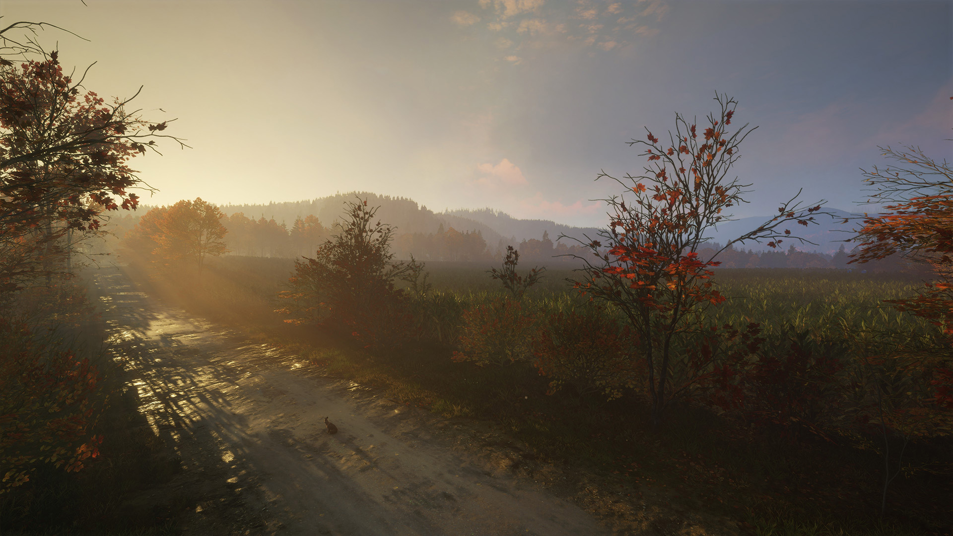 paysage