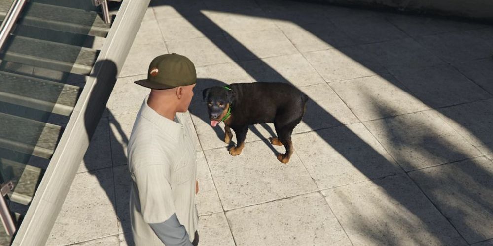 Franklin joue à chercher avec Chop dans GTA V