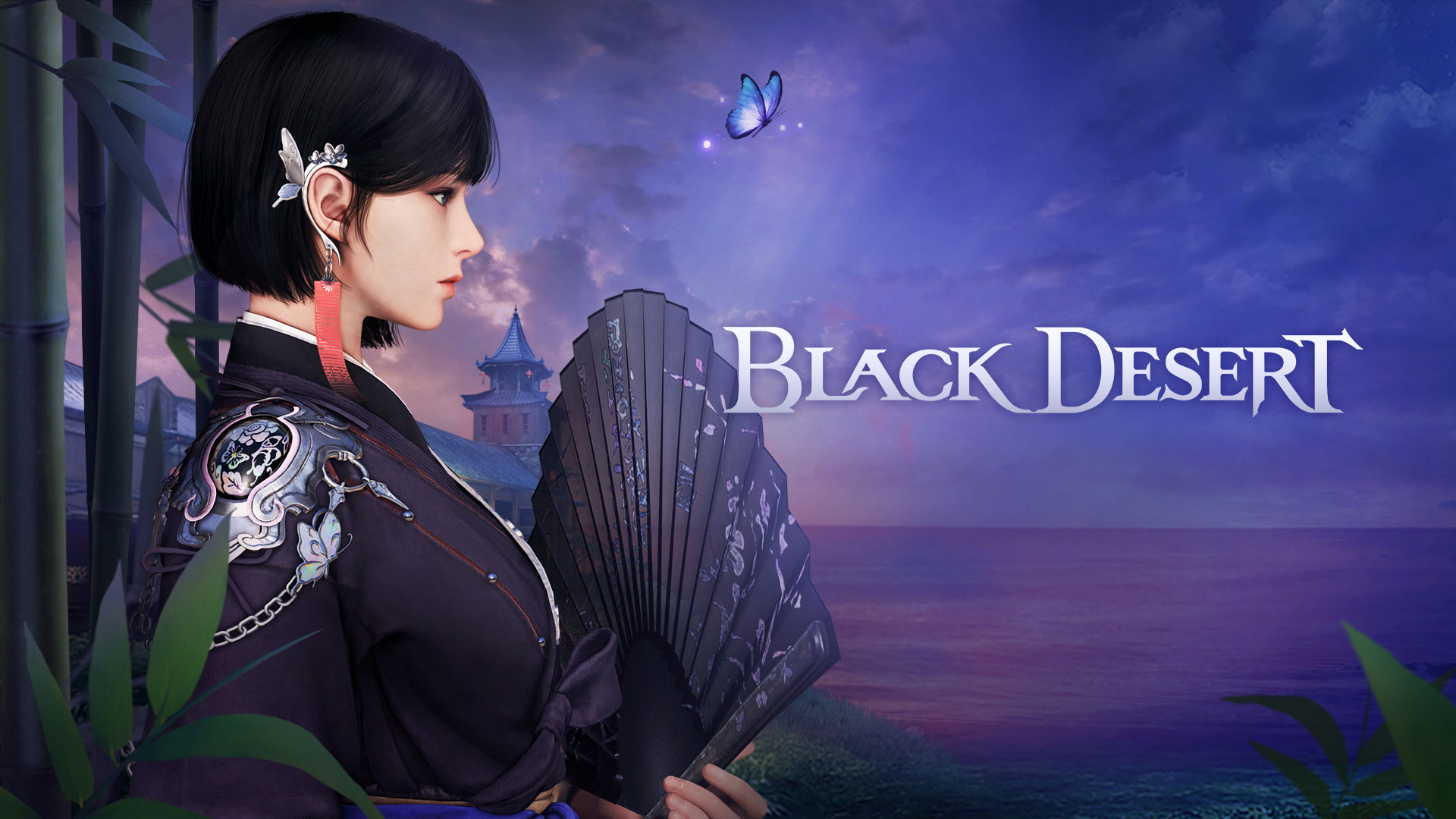 Nouvelle classe, plus de contenu, All Black Desert