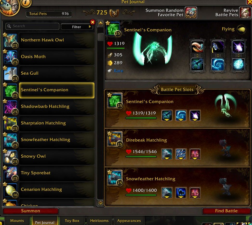 World of Warcraft Bakhushek contre une équipe de mascottes volantes