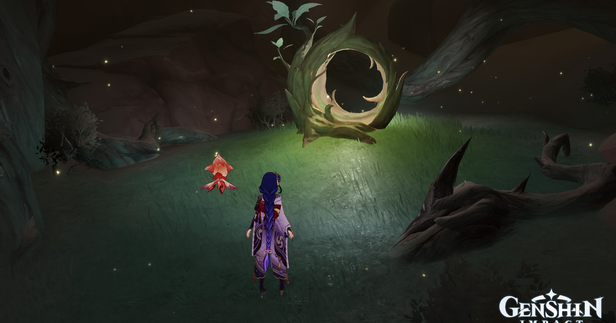 Emplacements de Genshin Impact Fravashi Tree