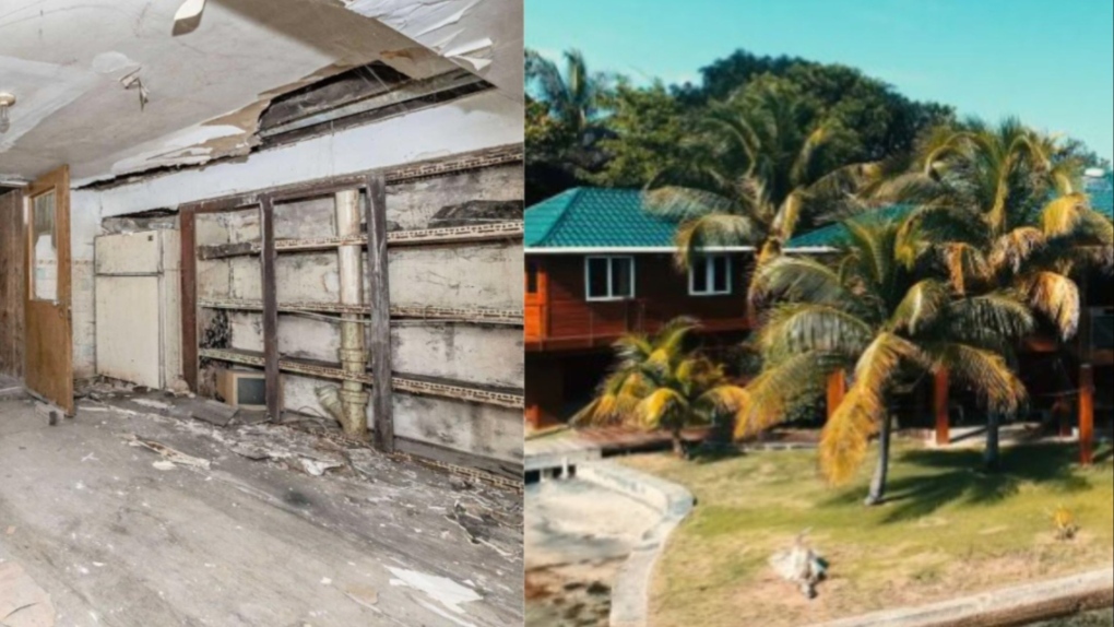 Les maisons GTA trop chères?  Essayez une île privée, dit ce créateur viral de TikTok