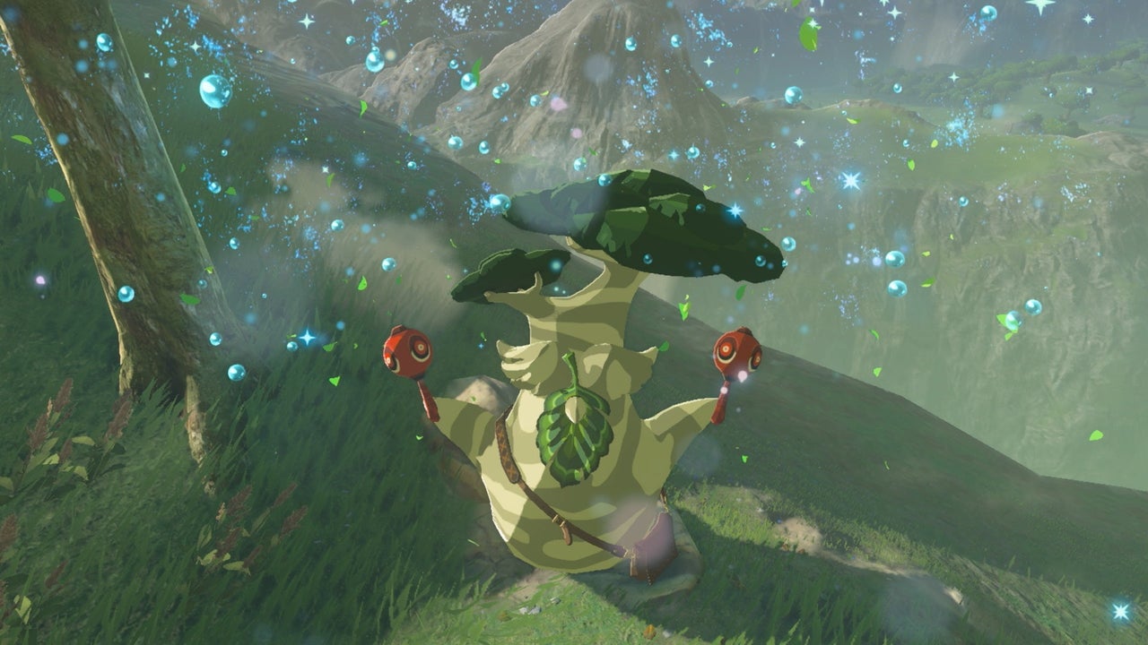 PSA: Voici combien de graines de Korok sont dans Tears of the Kingdom