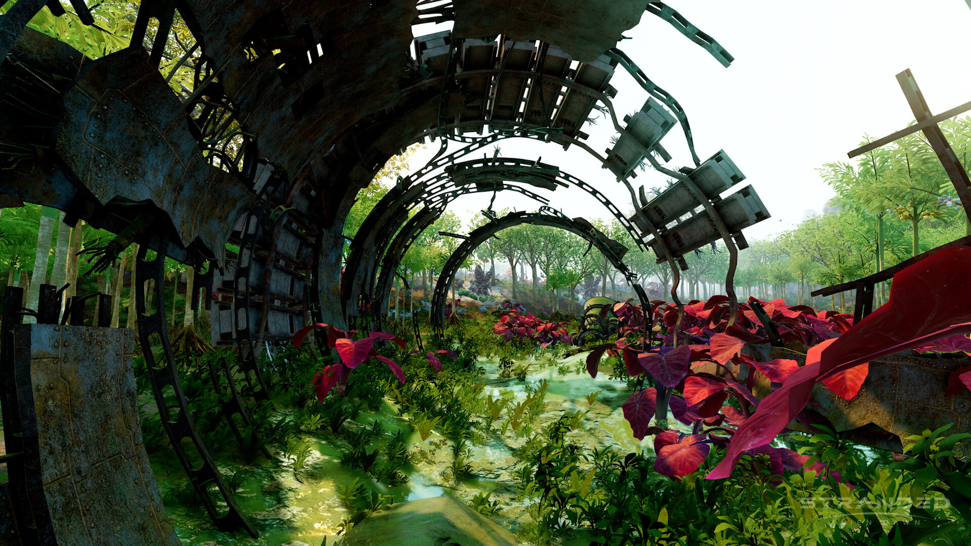C'est une jungle là-bas !  Découvrez la nouvelle mise à jour passionnante à venir pour Stranded: Alien Dawn