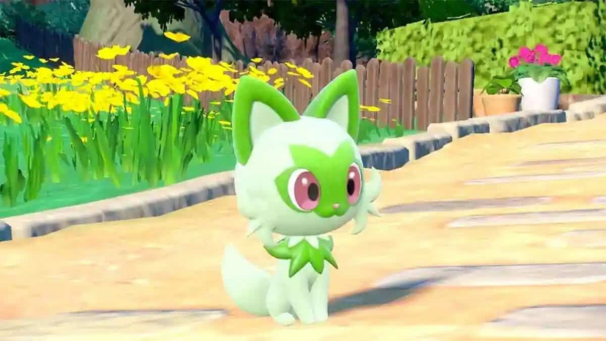 Sprigatito would be one of the chosen ones