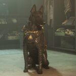 Le chien revient dans Call of Duty Call of Duty is adding a dog again