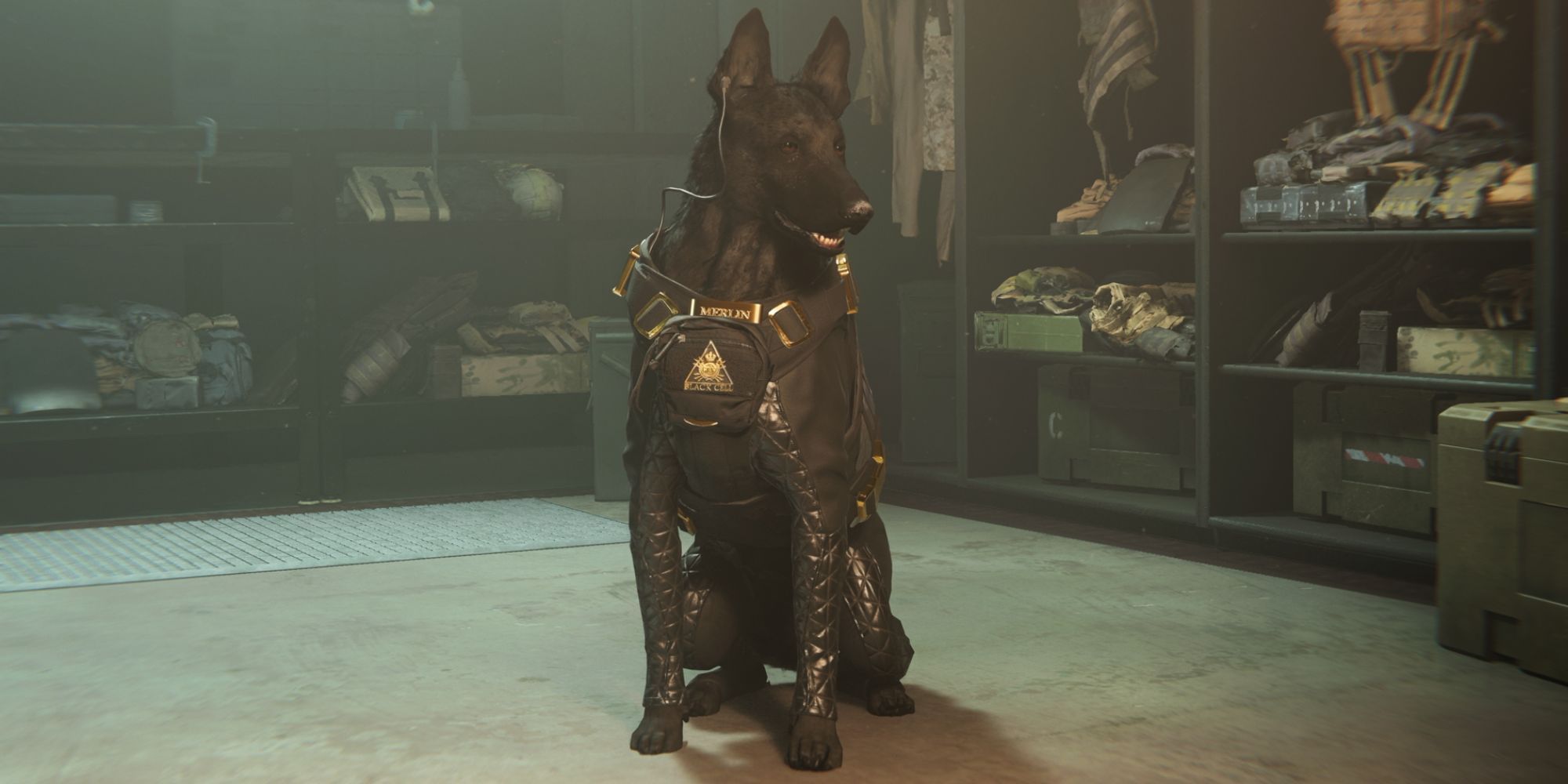 Call Of Duty Warzone's Merlin The Dog Add-On Accused Of Being Pay-To-Win