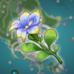 Emplacements lotus de pluie dans Genshin Impact. Genshin Impact: Pluie Lotus Locations