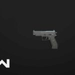 P890 Warzone Gun Loadout