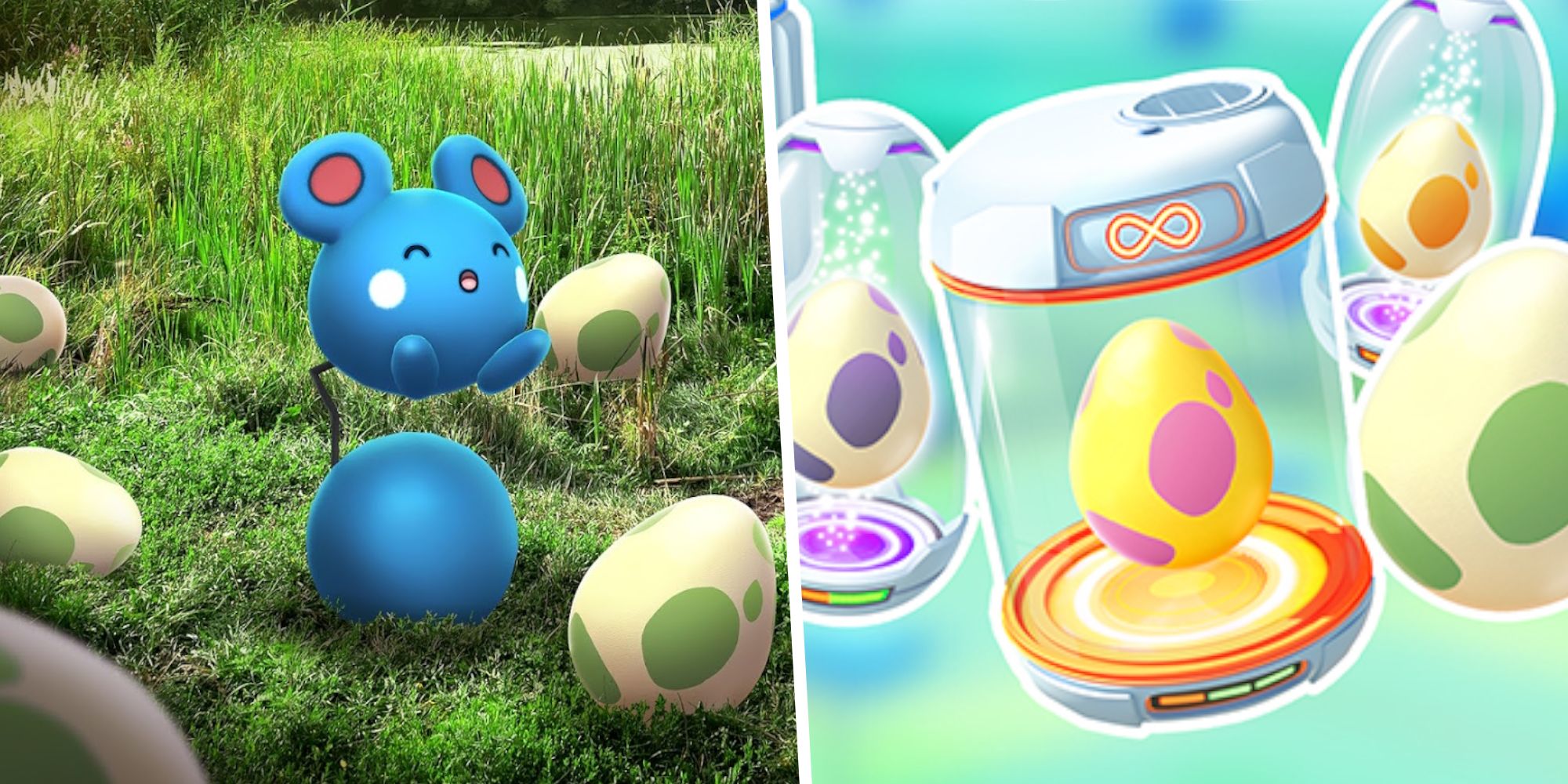 How To Complete The Azurill Hatch Day Event In Pokemon Go