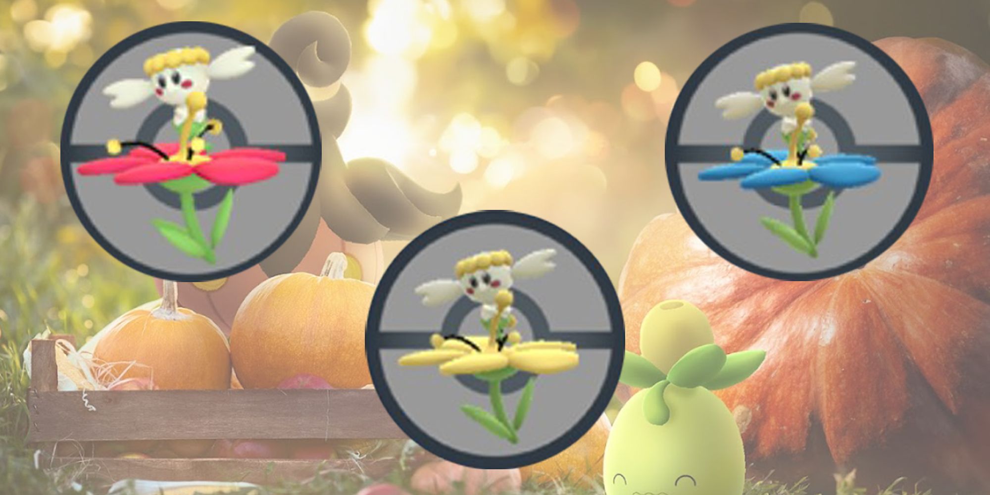 How To Get All Flabebe Flower Colors In Pokemon Go
