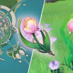 Où sont toutes les roses arc-en-ciel dans Genshin Impact ? Where Are All The Rainbow Roses in Genshin Impact?