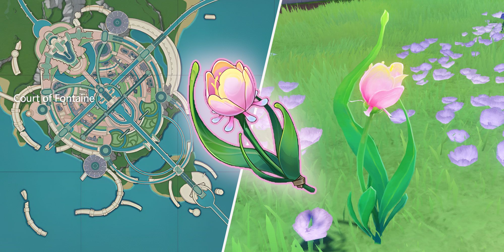 Where Are All The Rainbow Roses in Genshin Impact?