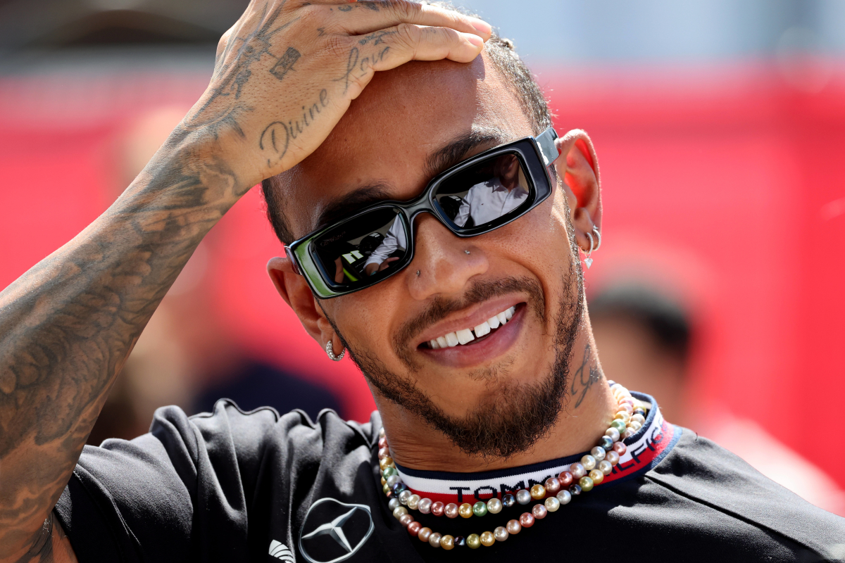 Lewis Hamilton et Roscoe rejoignent Fortnite dans la série 'Icon ...