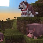 This screenshot shows an early version of the armadillo and a wolf clad in wolf armor, are both coming to pre-release versions of Minecraft soon for testing!