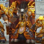 Les meilleures races pour les paladins dans WoW Best Races for Paladins In WoW