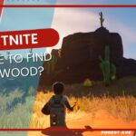 Trouvez la location idéale pour le LEGO Fortnite Flexwood LEGO Fortnite Flexwood: Location & Uses