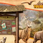 De nouveaux défis de photographie animalière dans GTA Online avec un véhicule Ranger déblocable GTA Online gets new wildlife photography challenges & unlockable Park Ranger vehicle