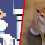 Random: Games Done Quick Just Featured Its First-Ever Speedrunning Dog