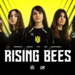 News : Team Vitality dévoile un roster remanié et rebrandé pour Rising Bees LOL News: Team Vitality unveils revamped, rebranded Rising Bees roster