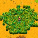 How To Get Hay In Stardew Valley