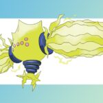 Les meilleures stratégies et faiblesses de Regieleki dans Pokémon Go Regieleki counters, weakness, and best moveset in Pokémon Go