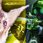 Des développeurs de Catly répondent aux accusations d'utilisation d'IA dans Black Ops 6 Catly and Black Ops 6