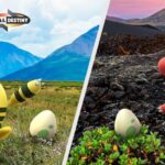 Hatch Day Pokémon Go : Elekid et Magby dans les œufs Pokémon Go’s Charged Embers Hatch Day will feature Elekid and Magby in eggs