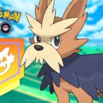 How to solo defeat Herdier in Pokemon GO 3-star raids
