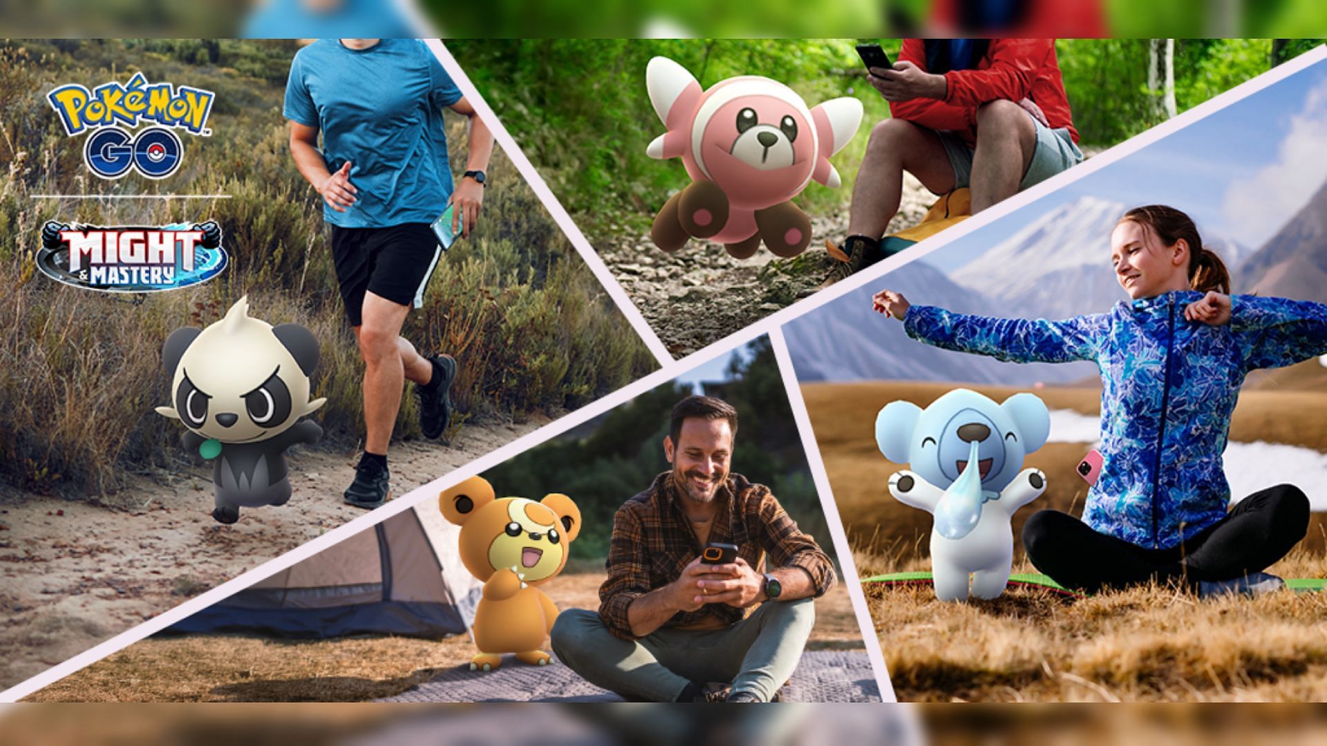 Pokemon GO Fuzzy Buddy ticket