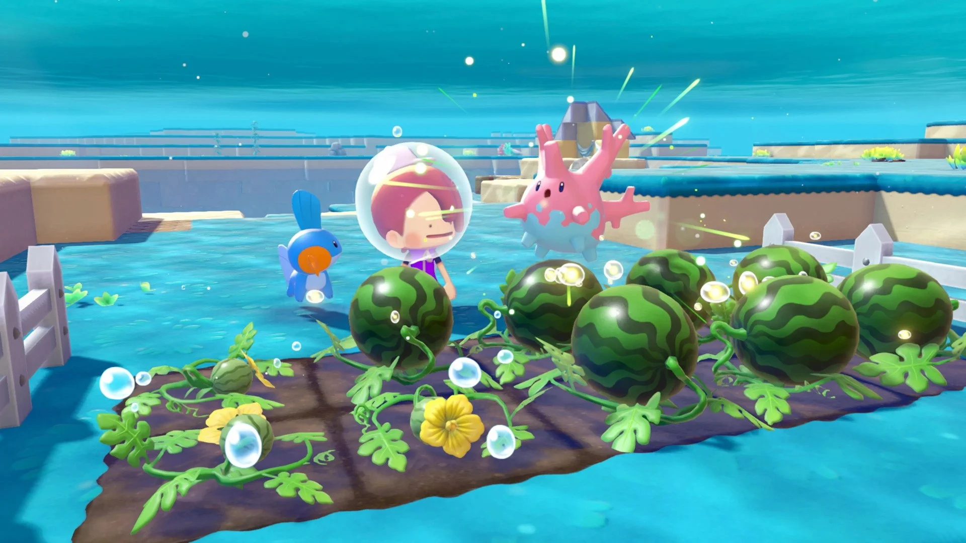 Pokémon Pokopia Bubbly Basin Pokédex & All Habitats